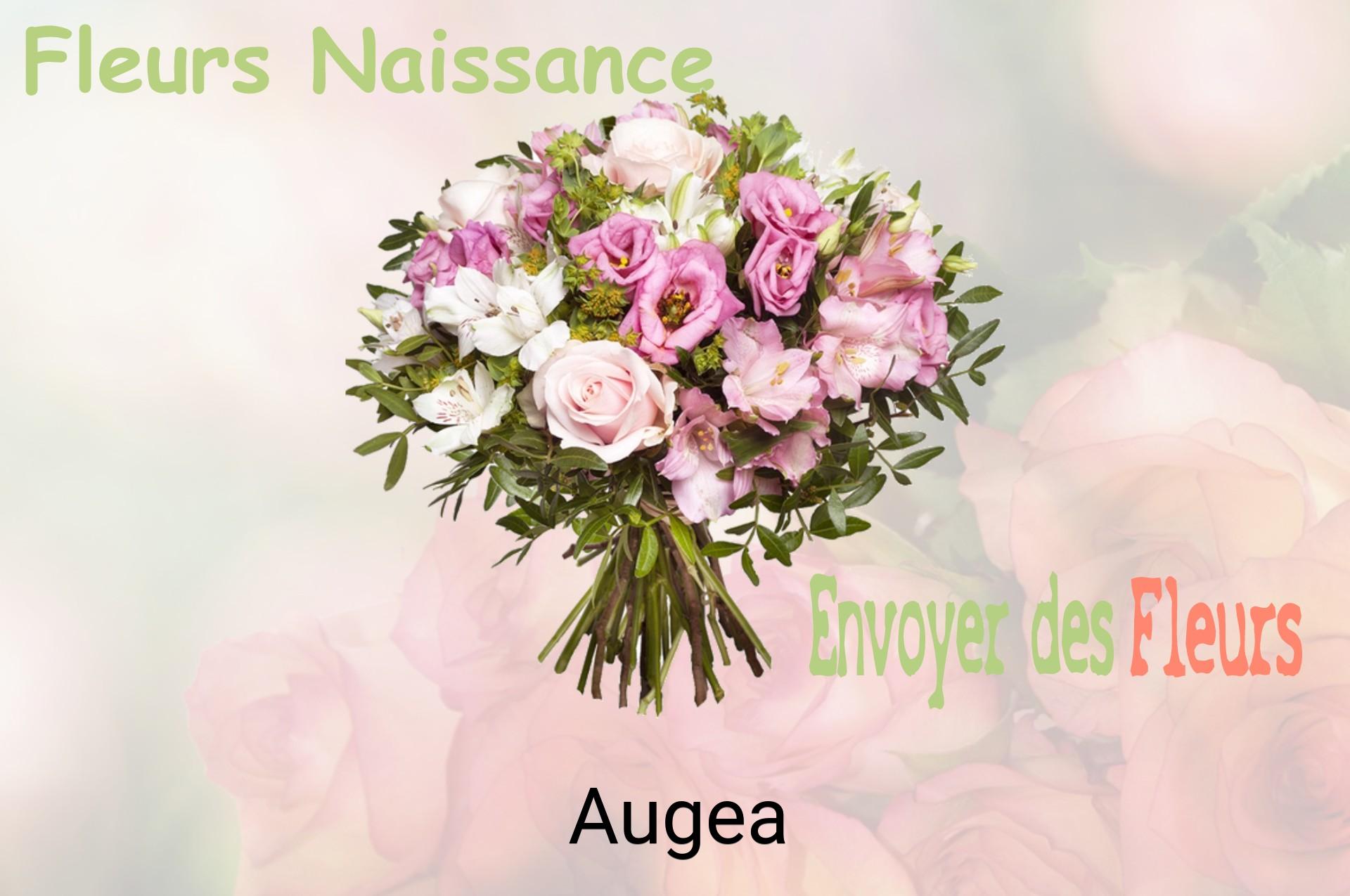 Bouquet de fleurs de naissance livré à Augea