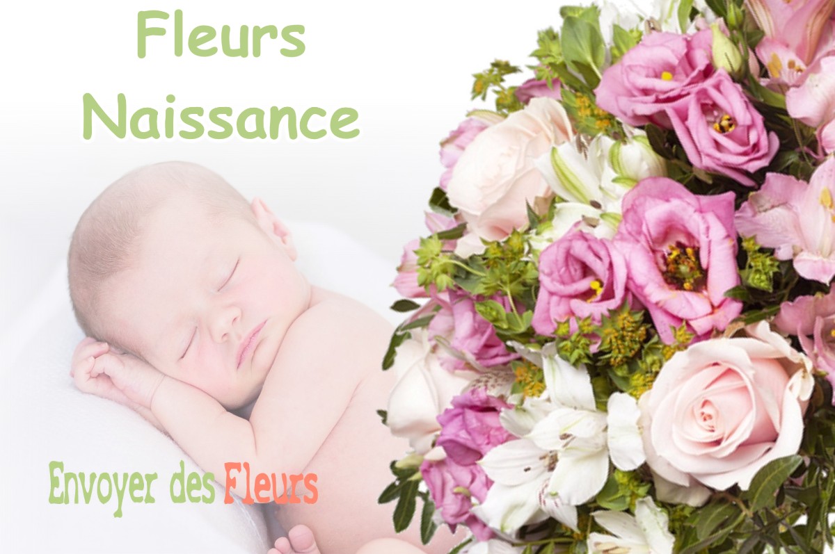 lIVRAISON FLEURS NAISSANCE à AUGEA